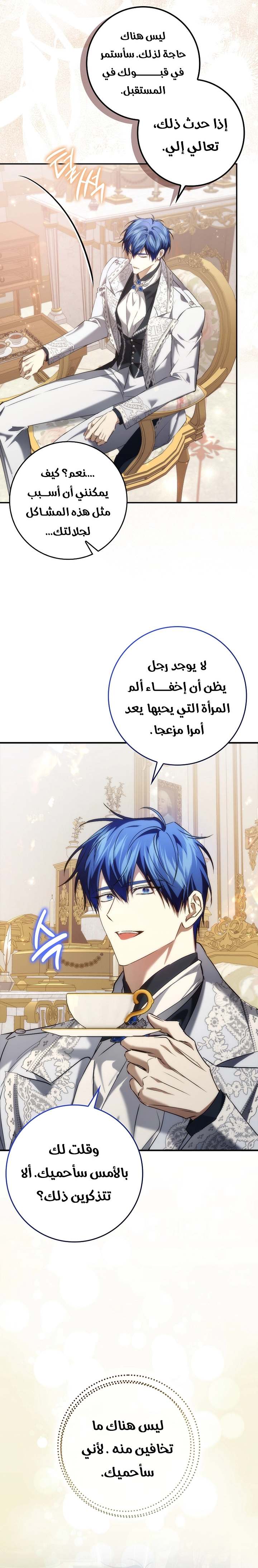 الصفحة 26