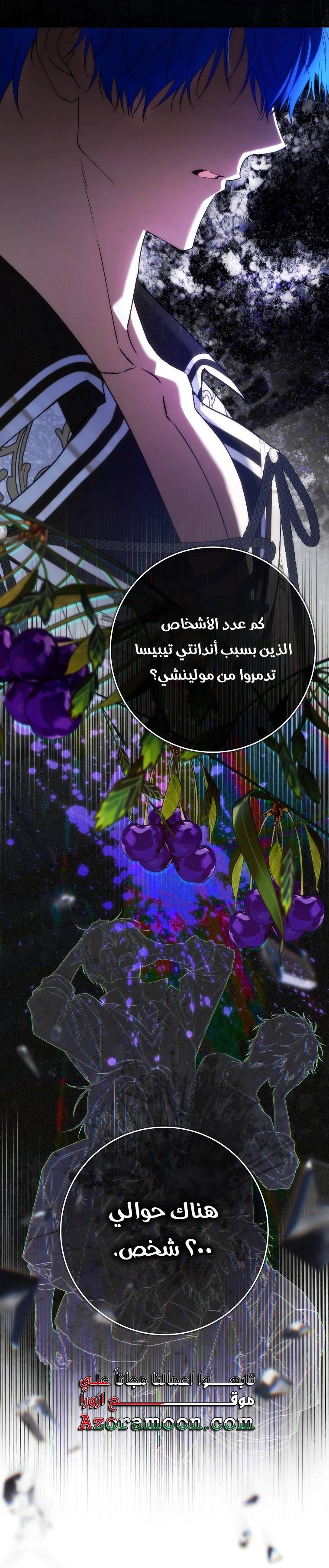 الصفحة 17