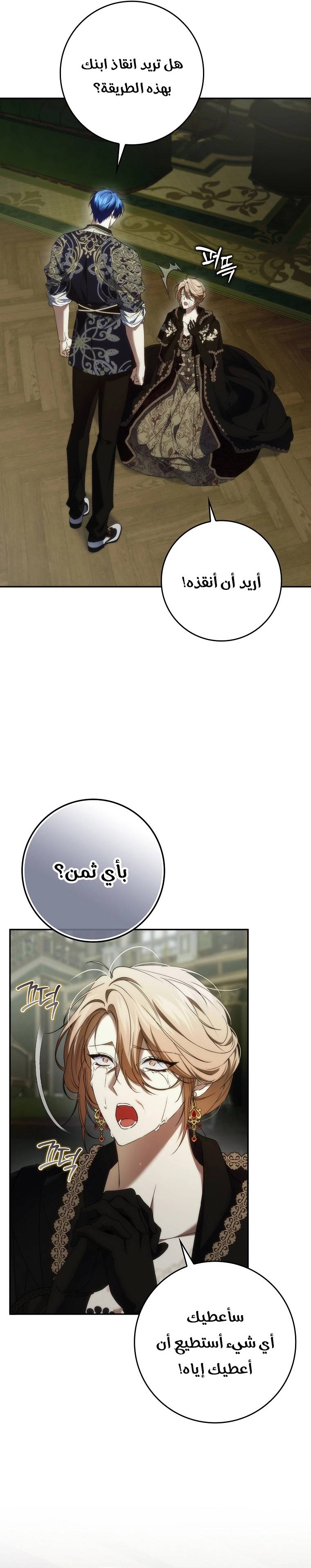 الصفحة 19