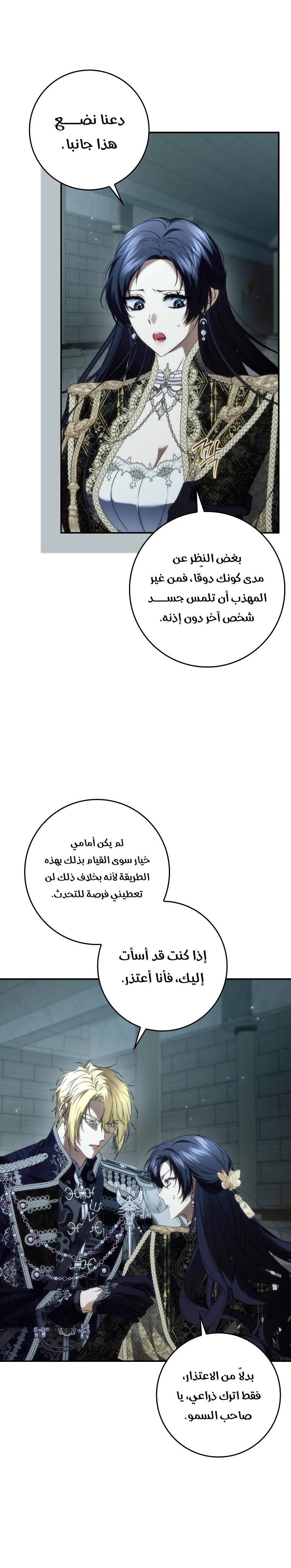 الصفحة 26