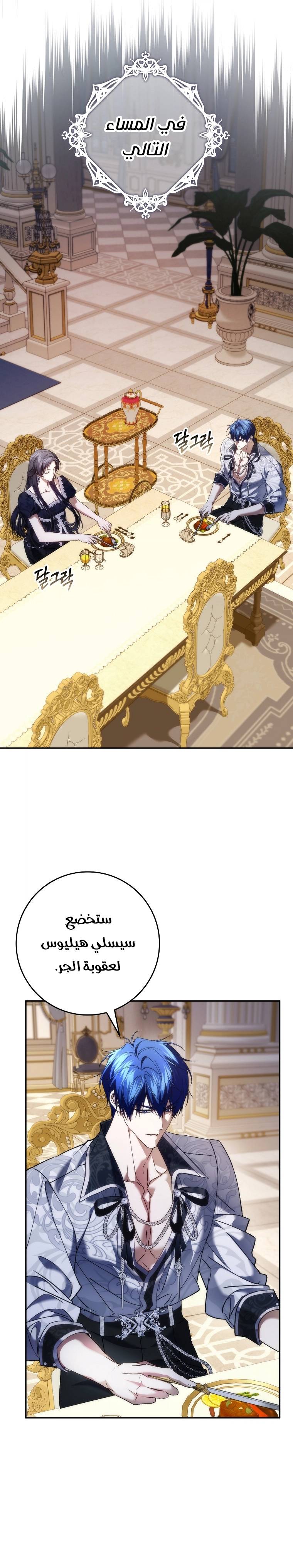 الصفحة 17