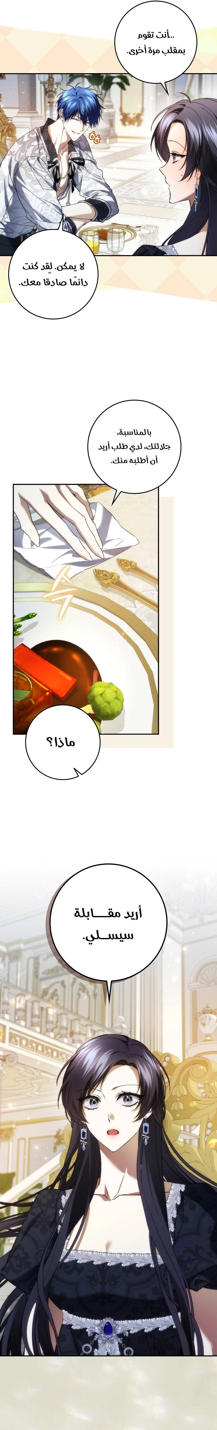 الصفحة 25