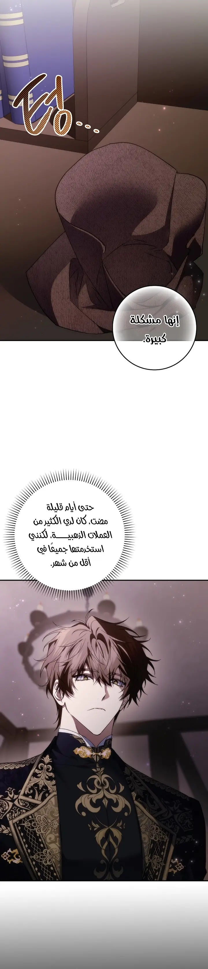 الصفحة 13