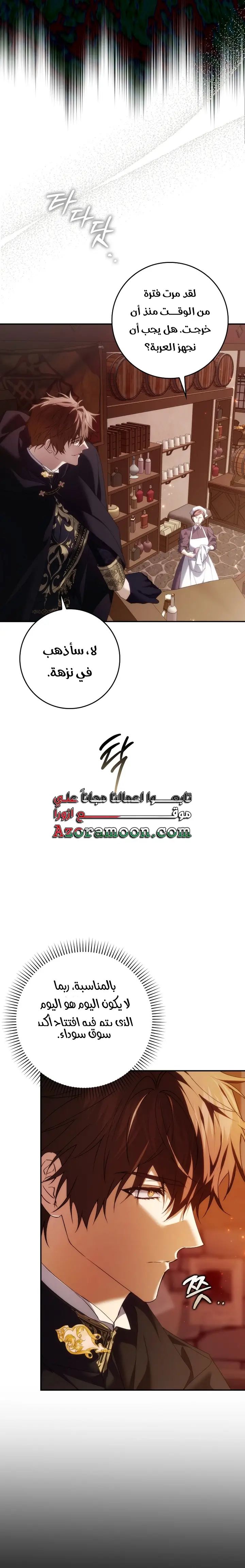 الصفحة 17
