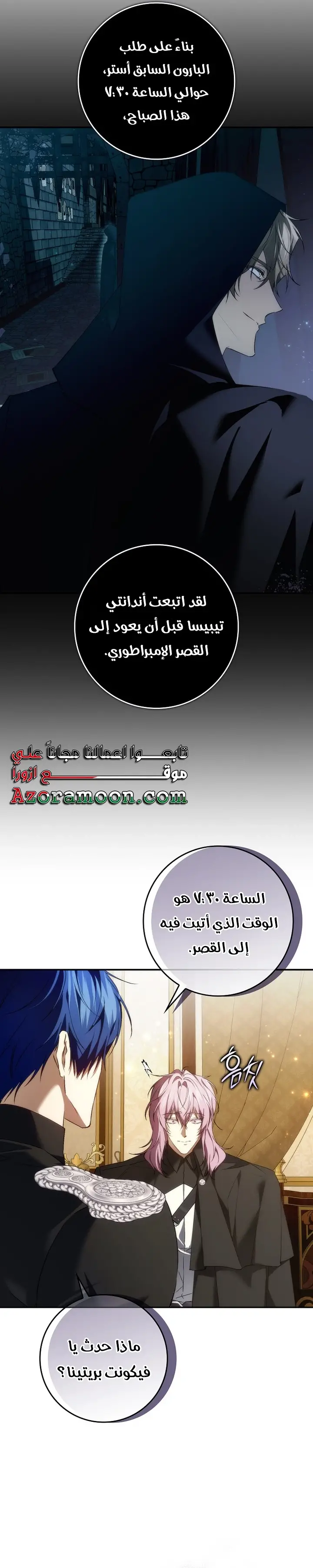 الصفحة 17