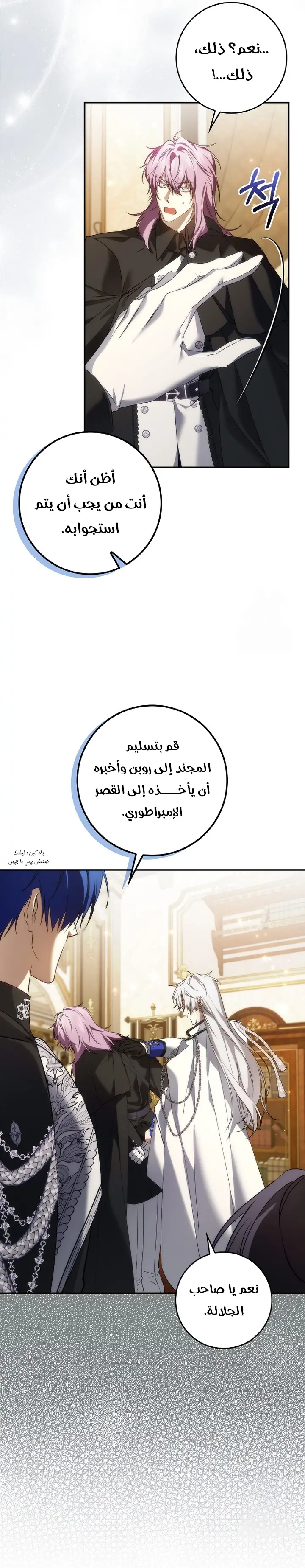 الصفحة 21