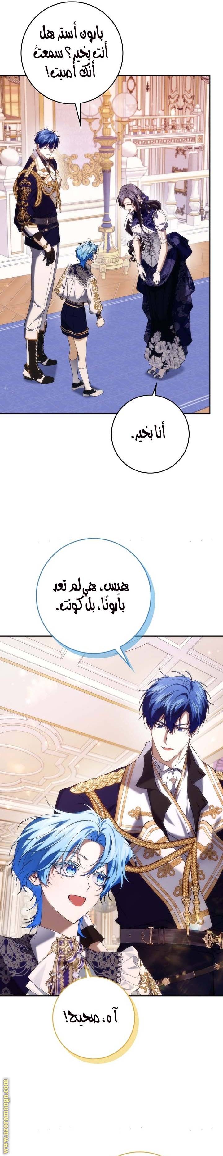 الصفحة 17