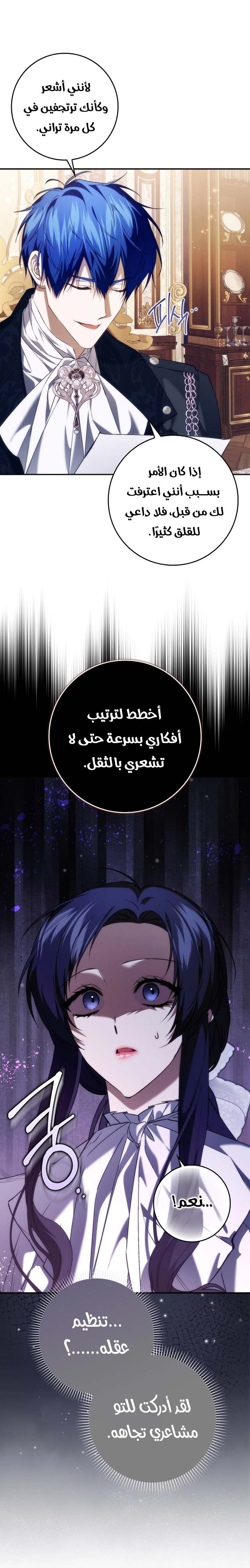 الصفحة 17