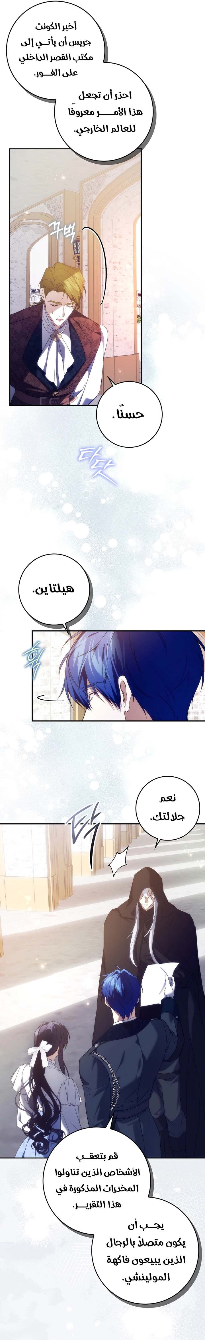 الصفحة 26
