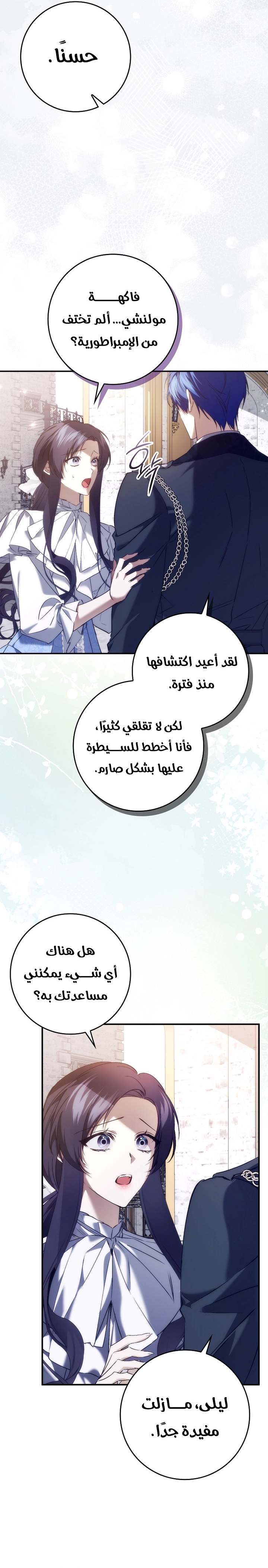 الصفحة 27
