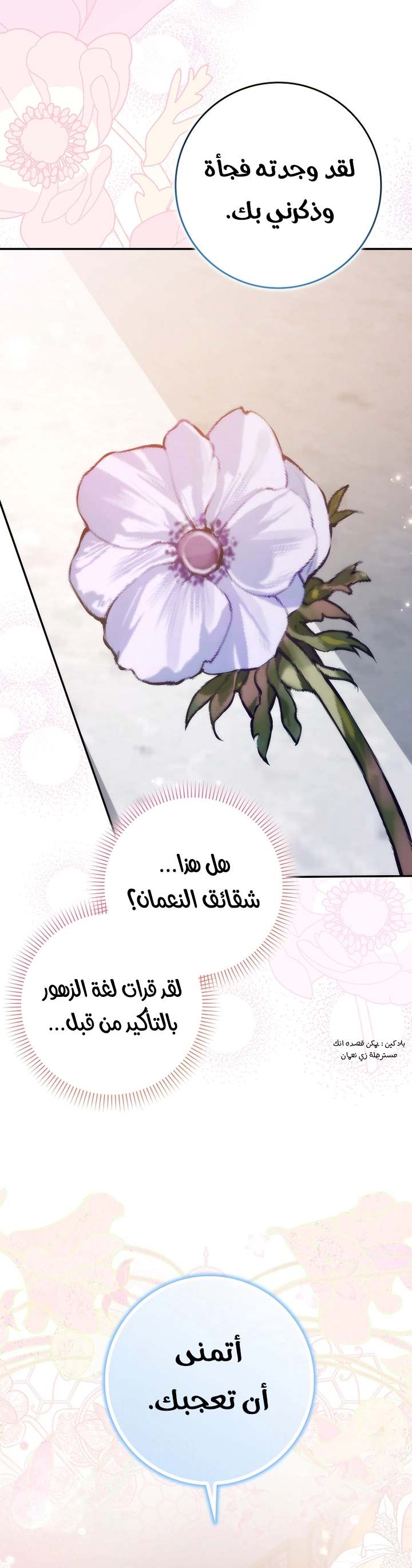 الصفحة 29
