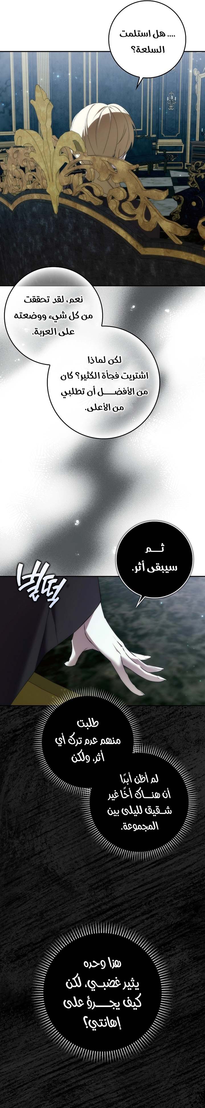 الصفحة 19