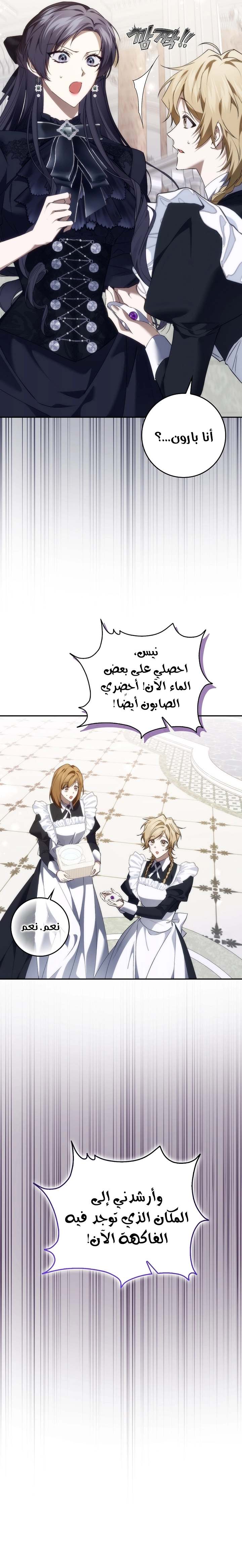 الصفحة 26