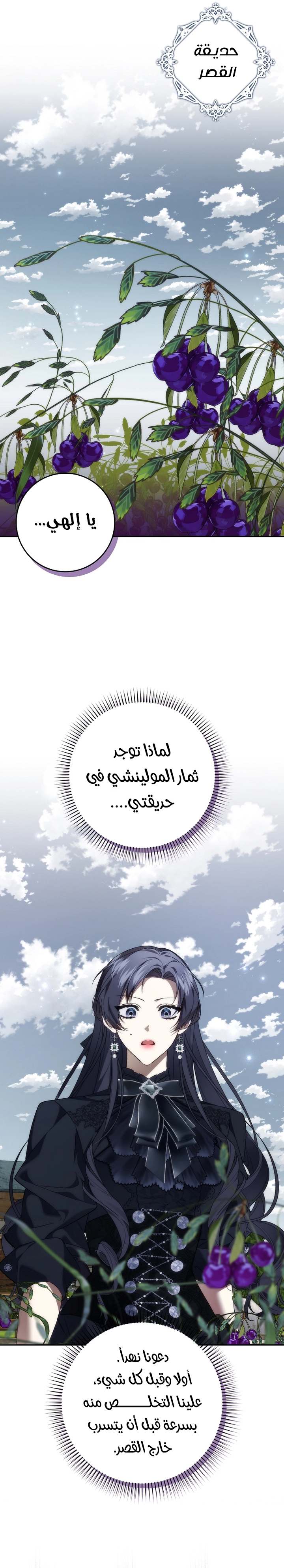 الصفحة 27