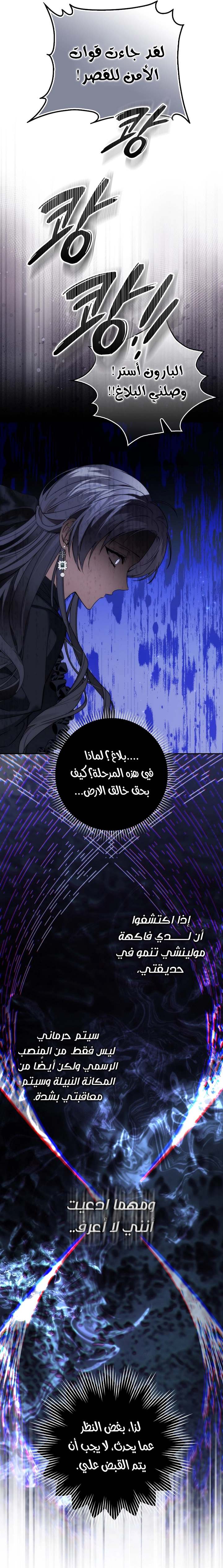 الصفحة 29