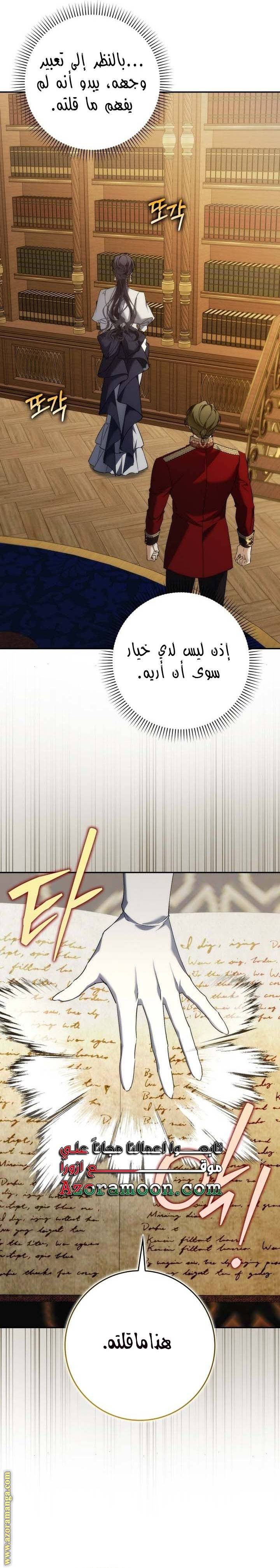 الصفحة 17