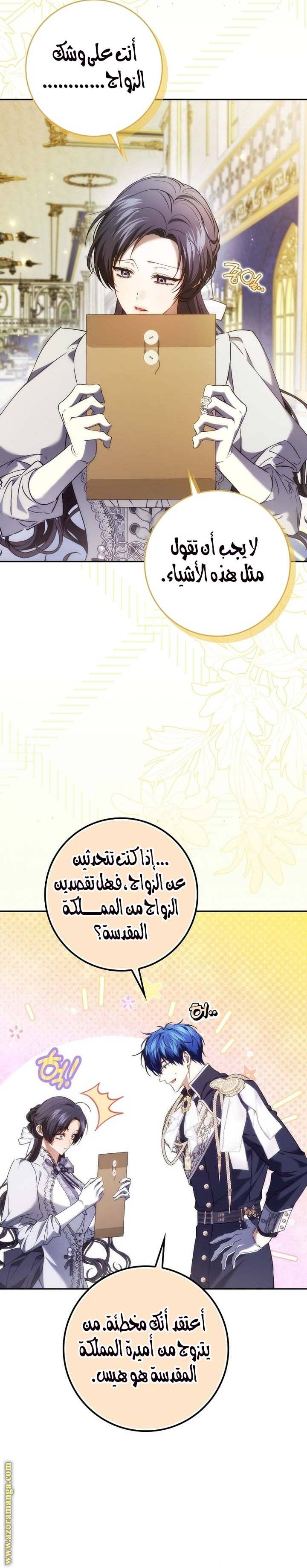 الصفحة 25