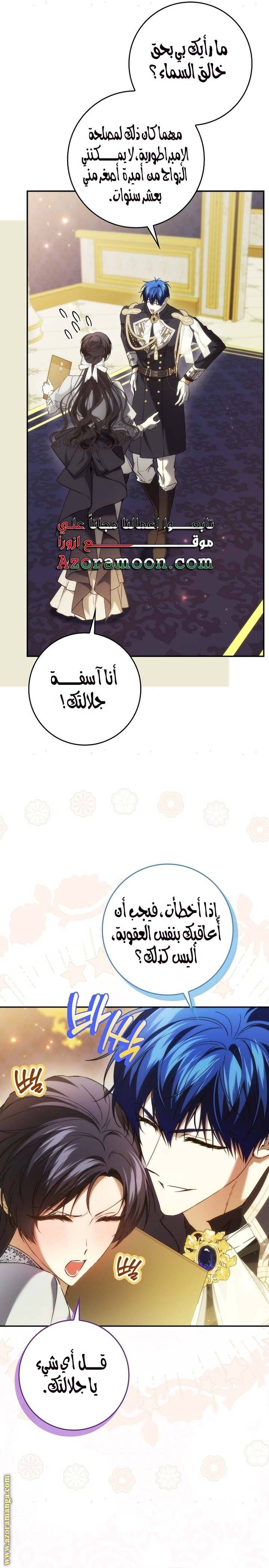 الصفحة 26