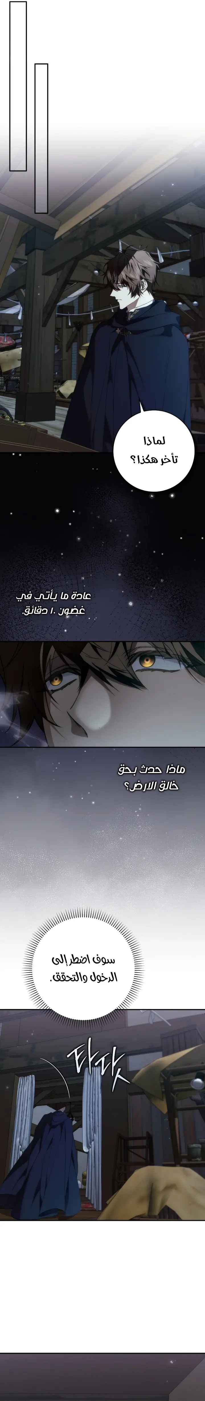 الصفحة 13