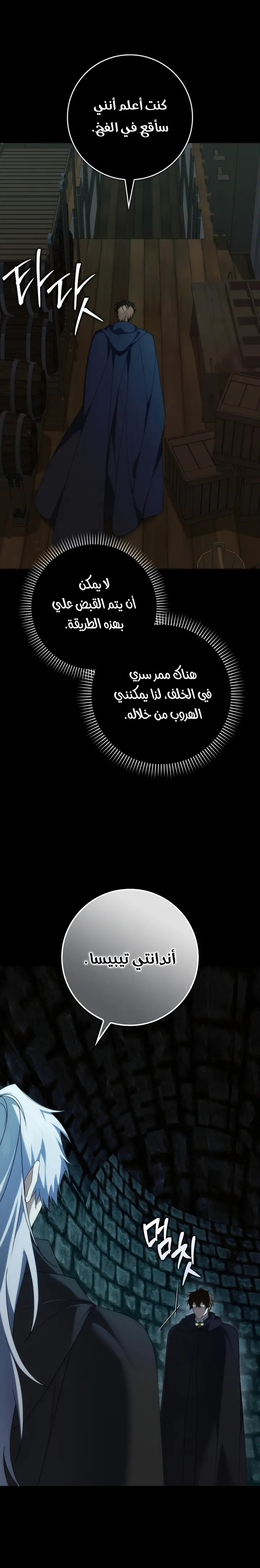 الصفحة 15