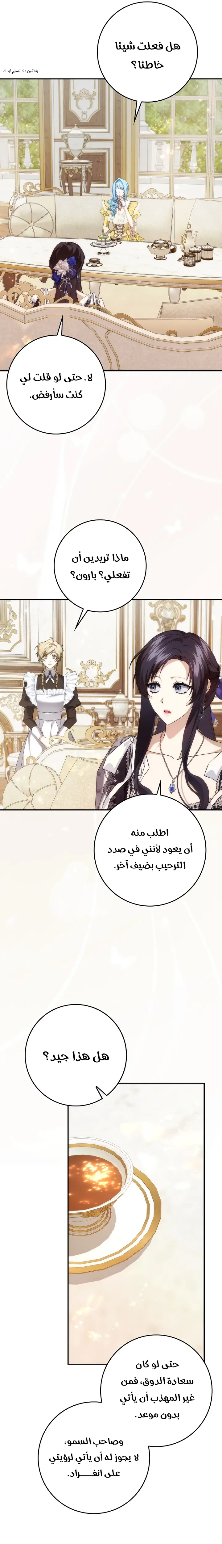 الصفحة 19