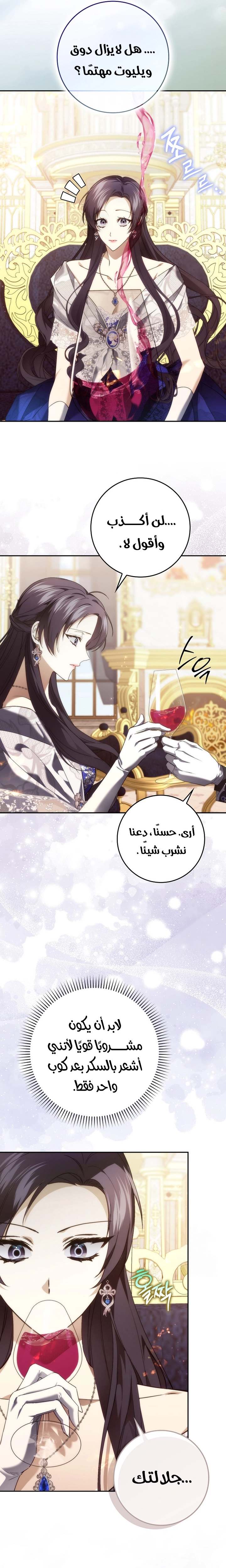 الصفحة 25