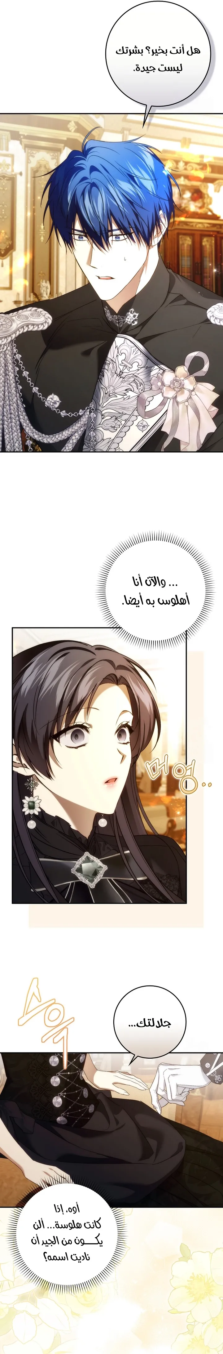 الصفحة 17