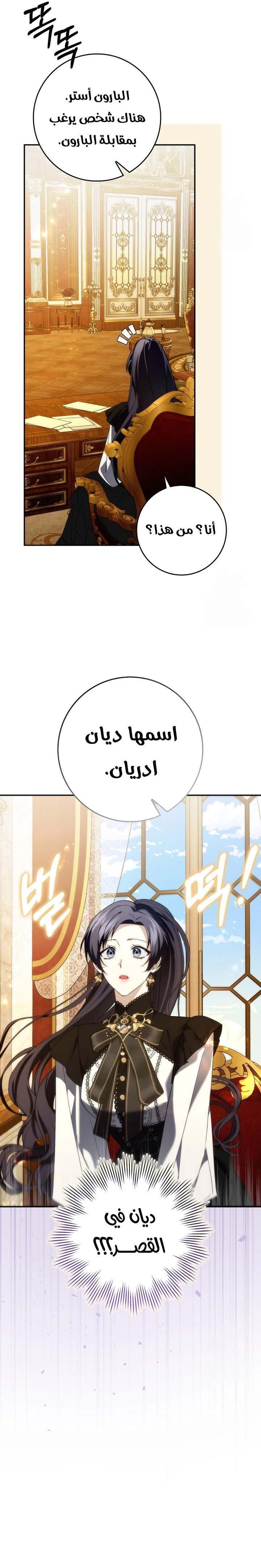 الصفحة 12