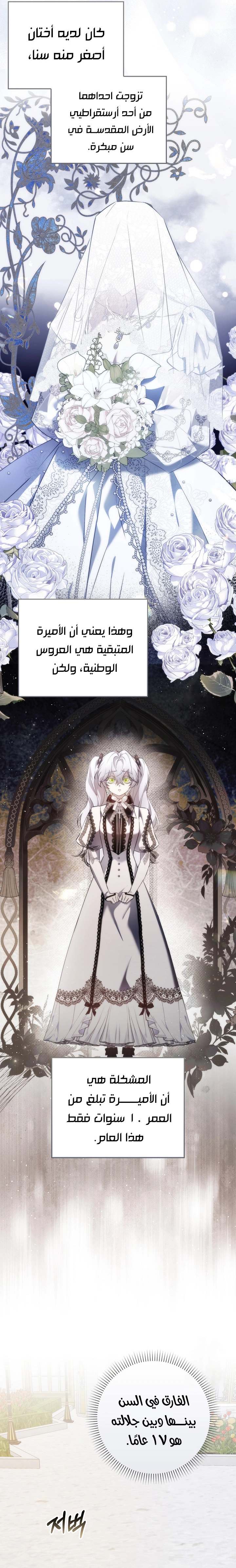 الصفحة 21