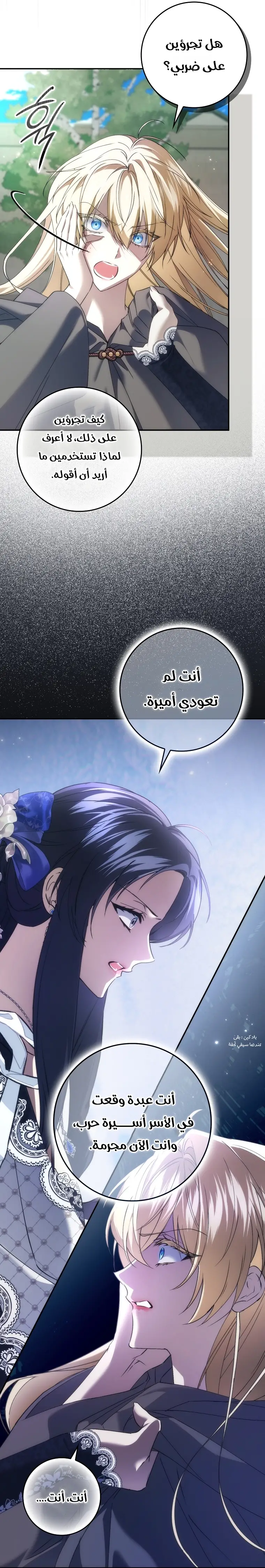 الصفحة 17
