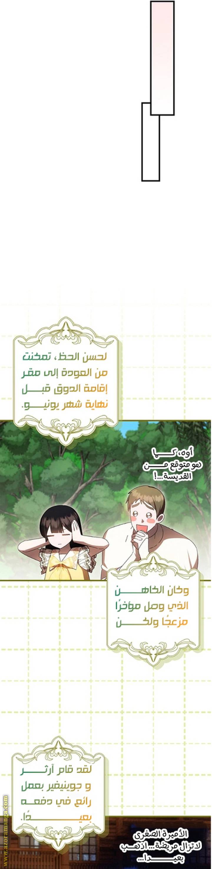 الصفحة 27