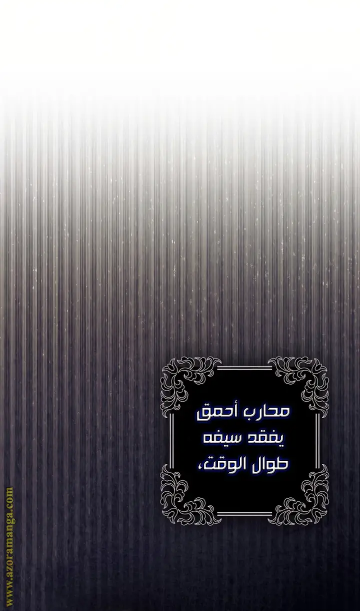 الصفحة 29