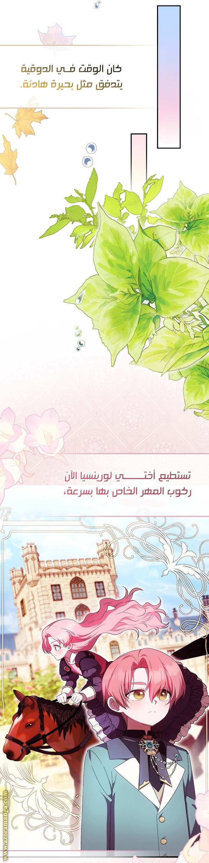 الصفحة 41