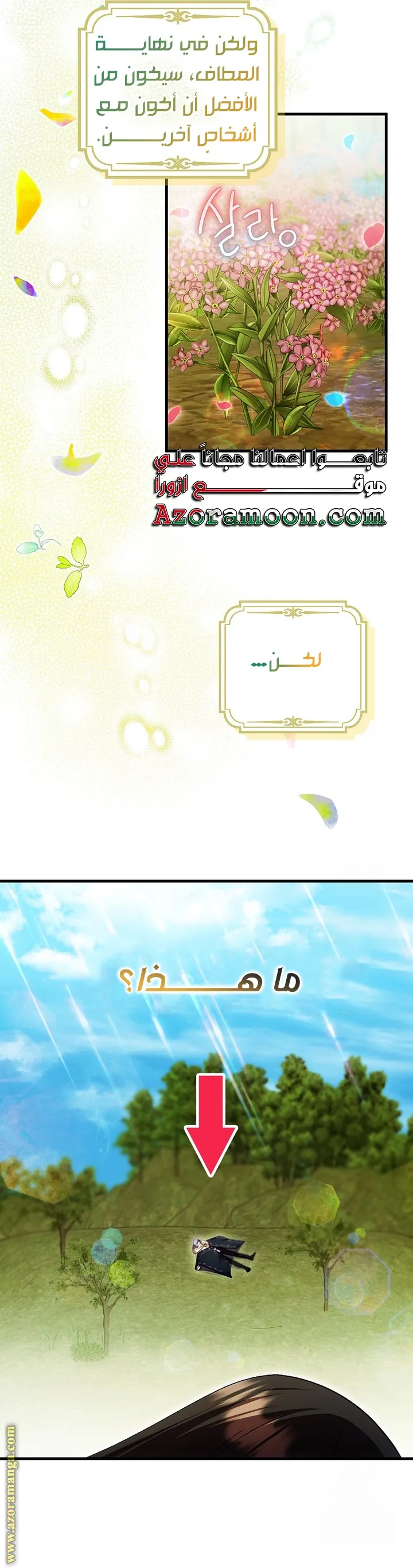الصفحة 19