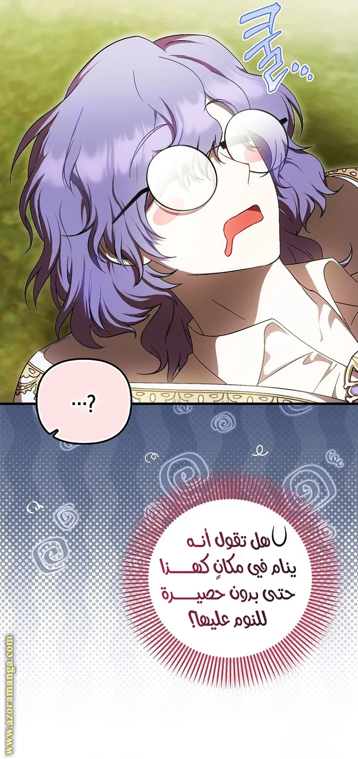 الصفحة 24
