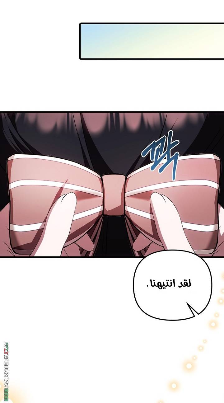 الصفحة 25