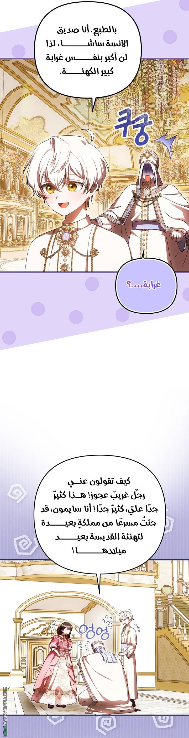 الصفحة 17