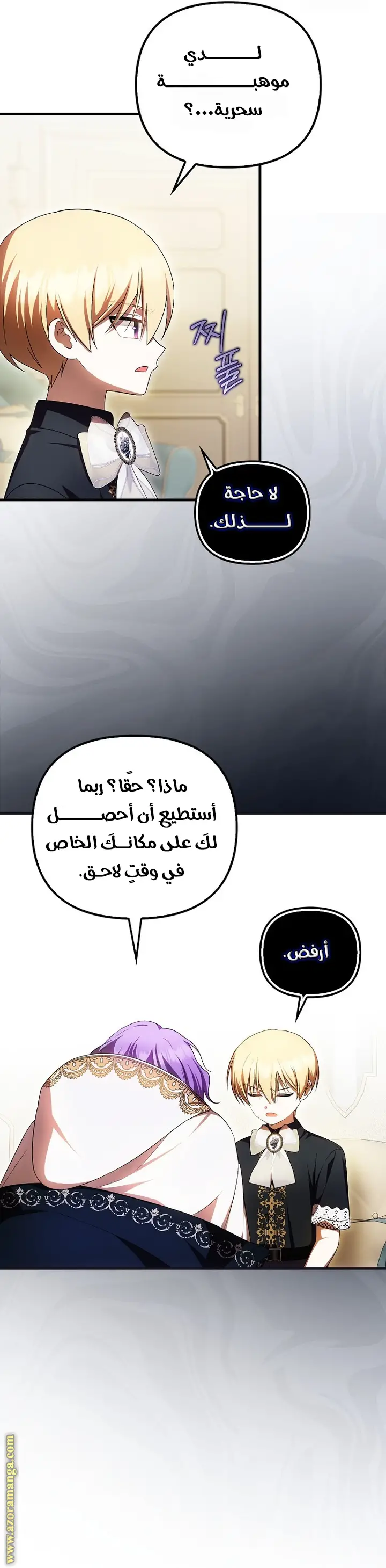 الصفحة 17