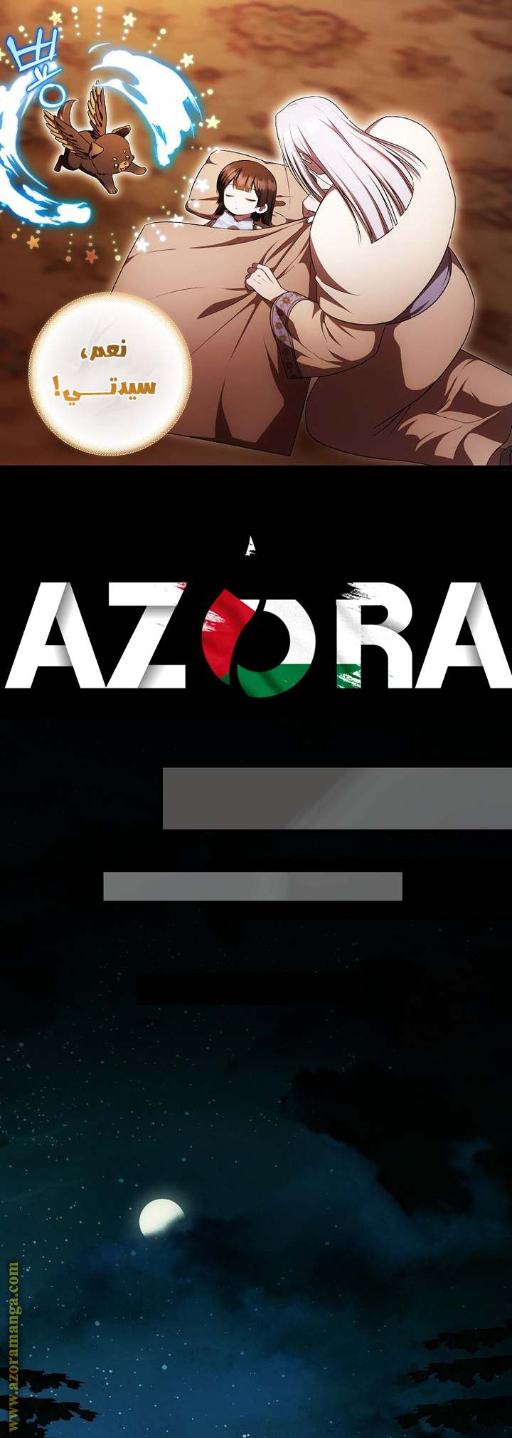 الصفحة 29