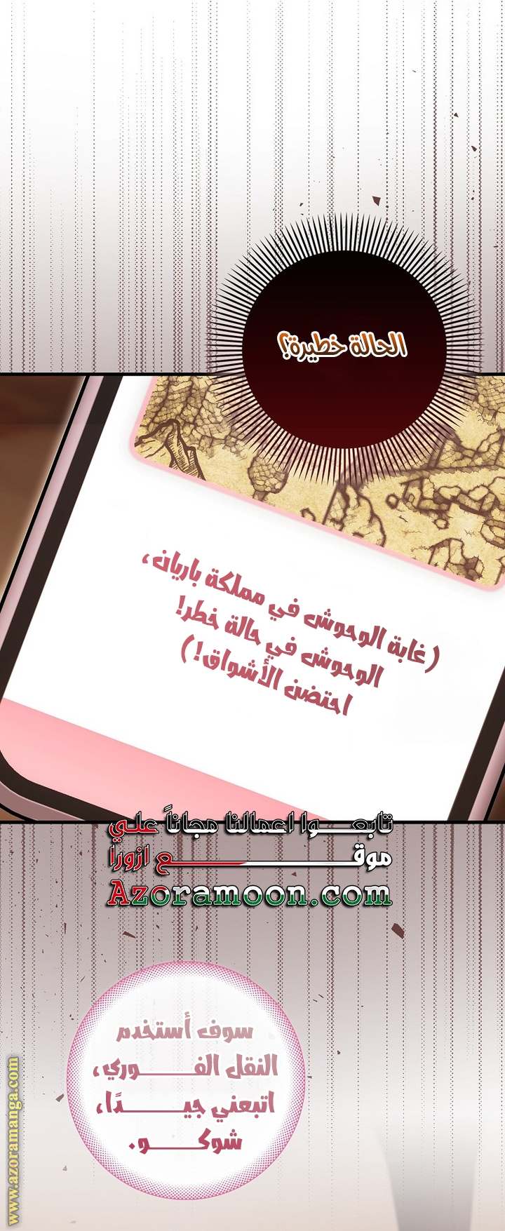 الصفحة 31
