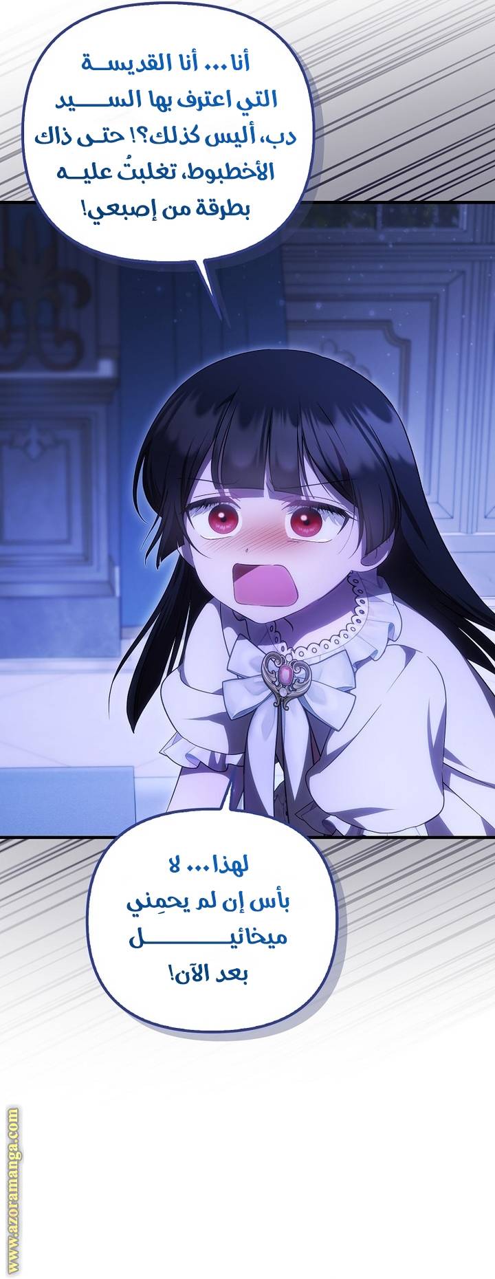 الصفحة 14