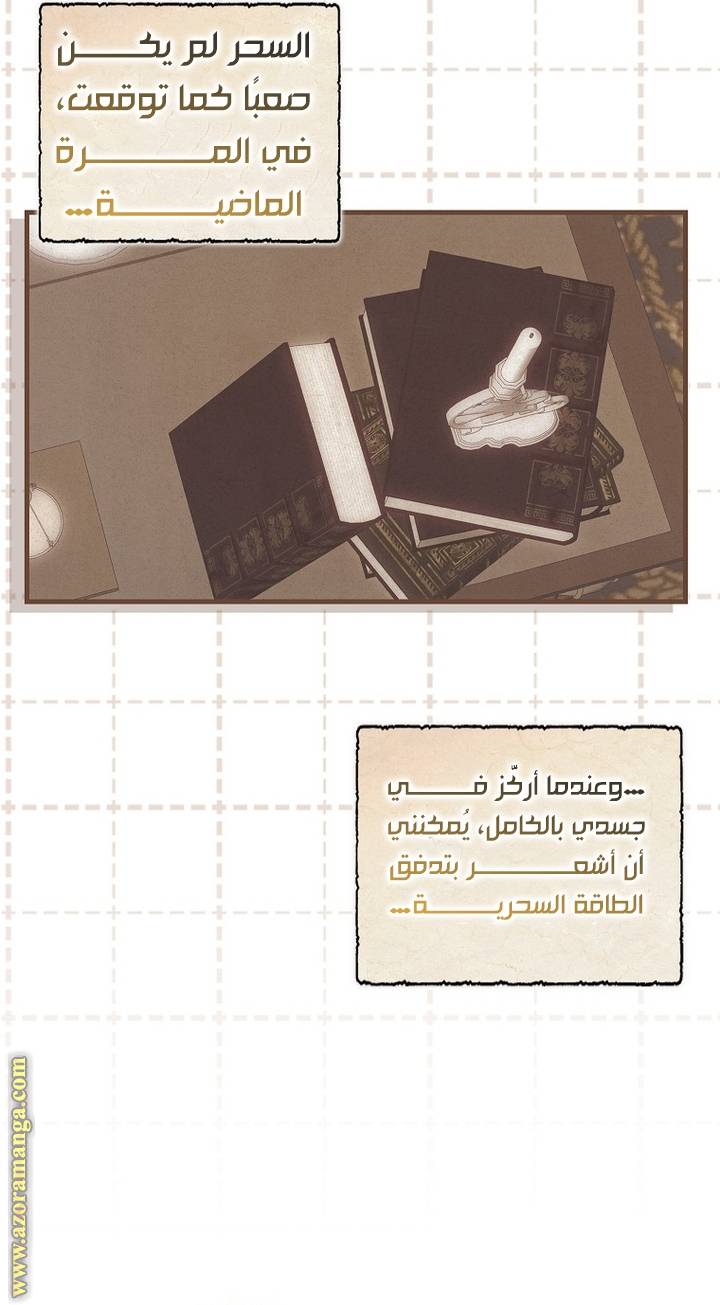 الصفحة 43