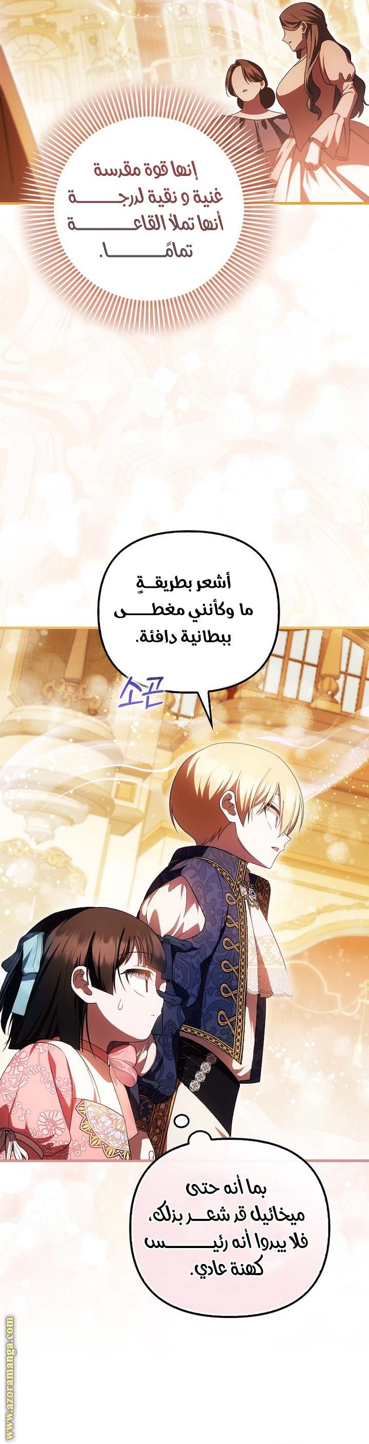 الصفحة 17