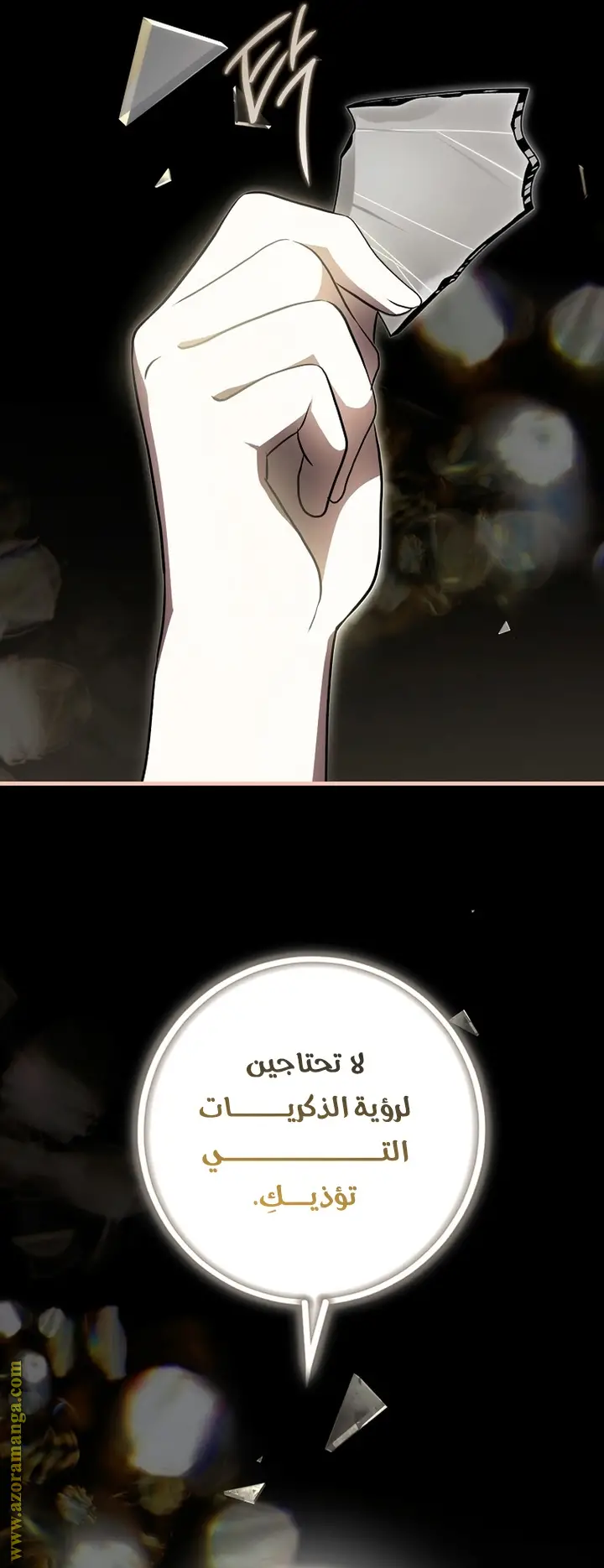 الصفحة 43
