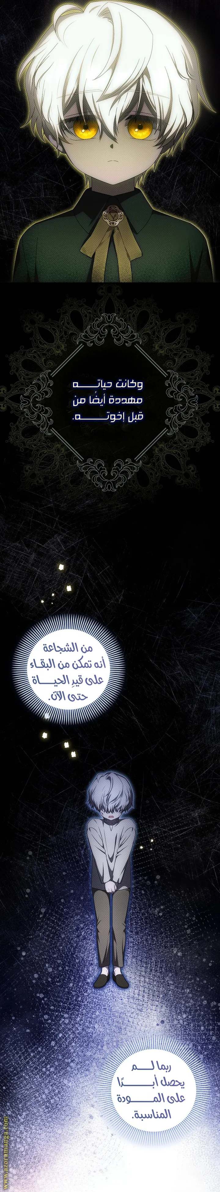 الصفحة 24
