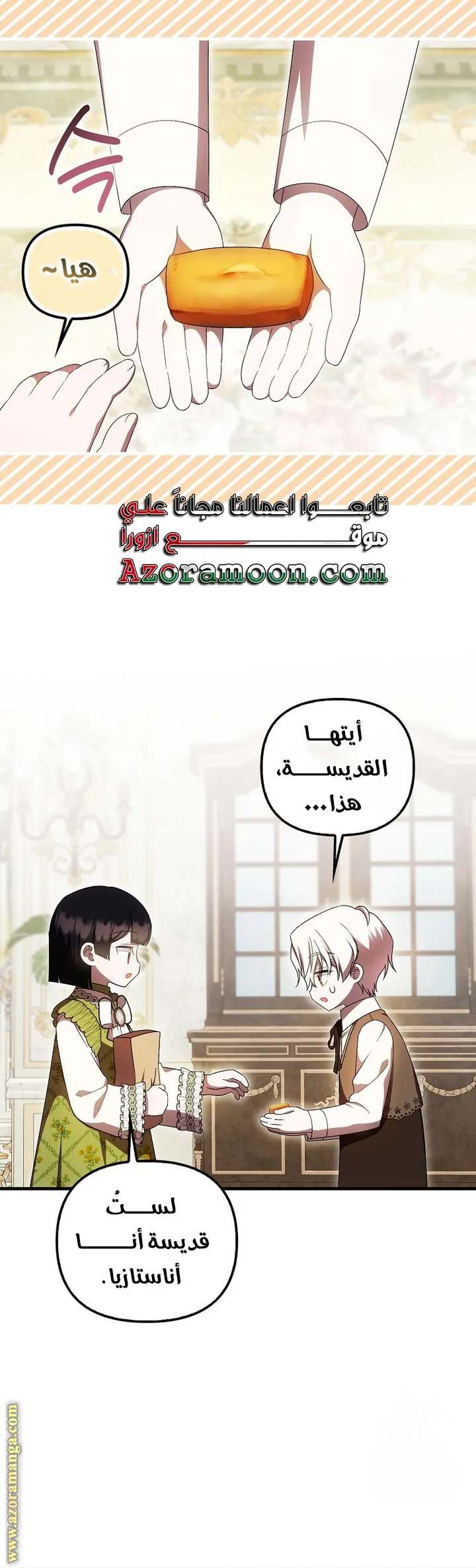 الصفحة 26