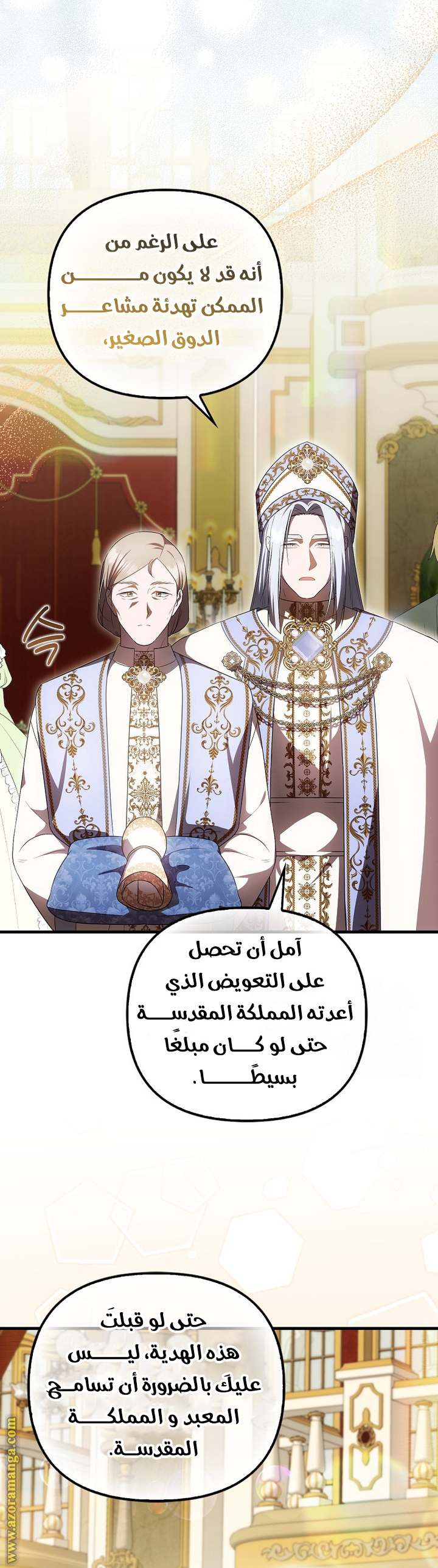 الصفحة 17