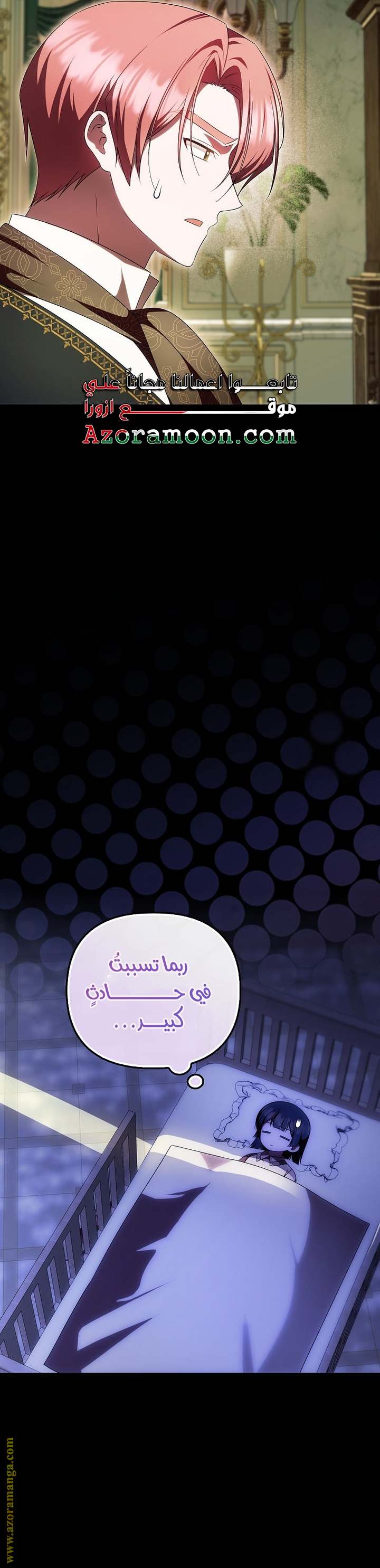 الصفحة 25