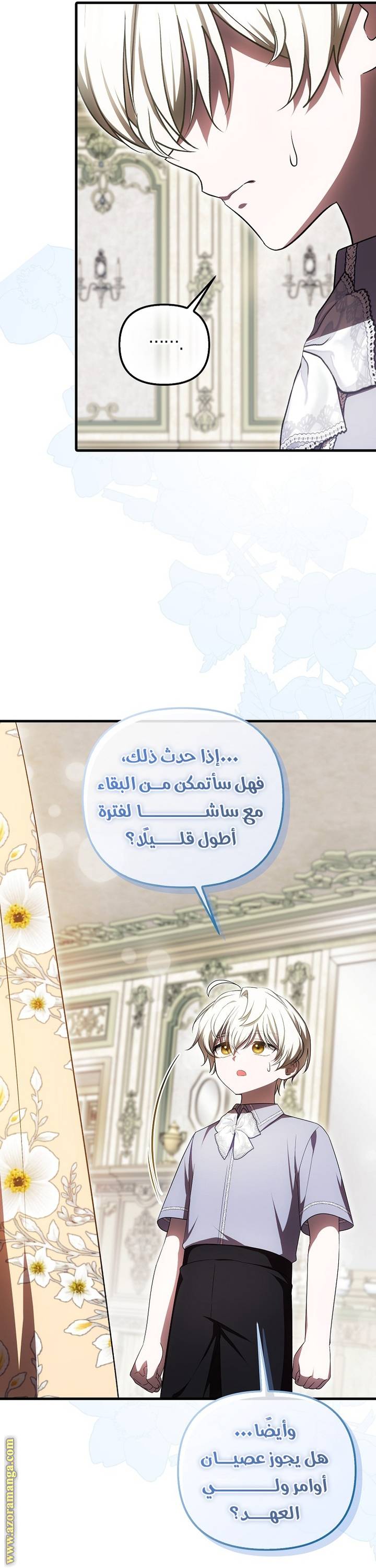 الصفحة 27