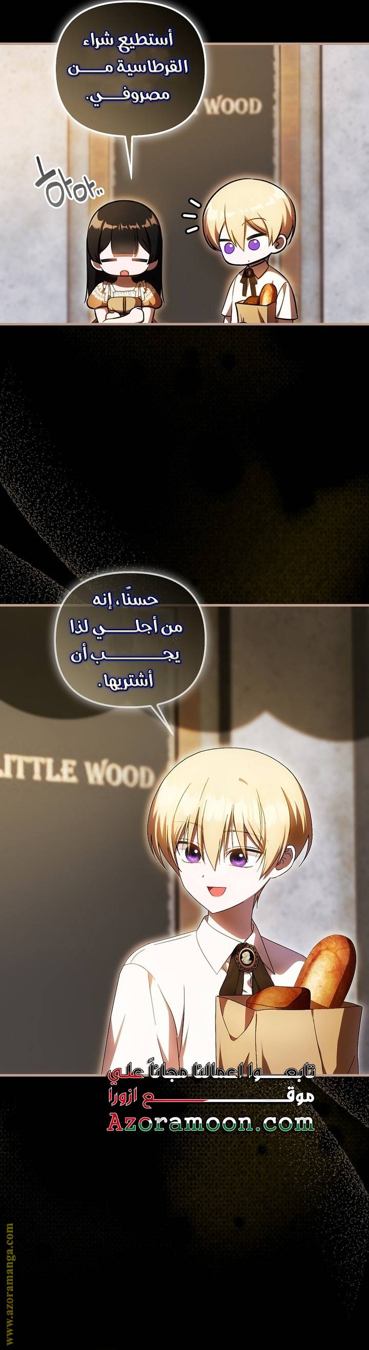 الصفحة 17